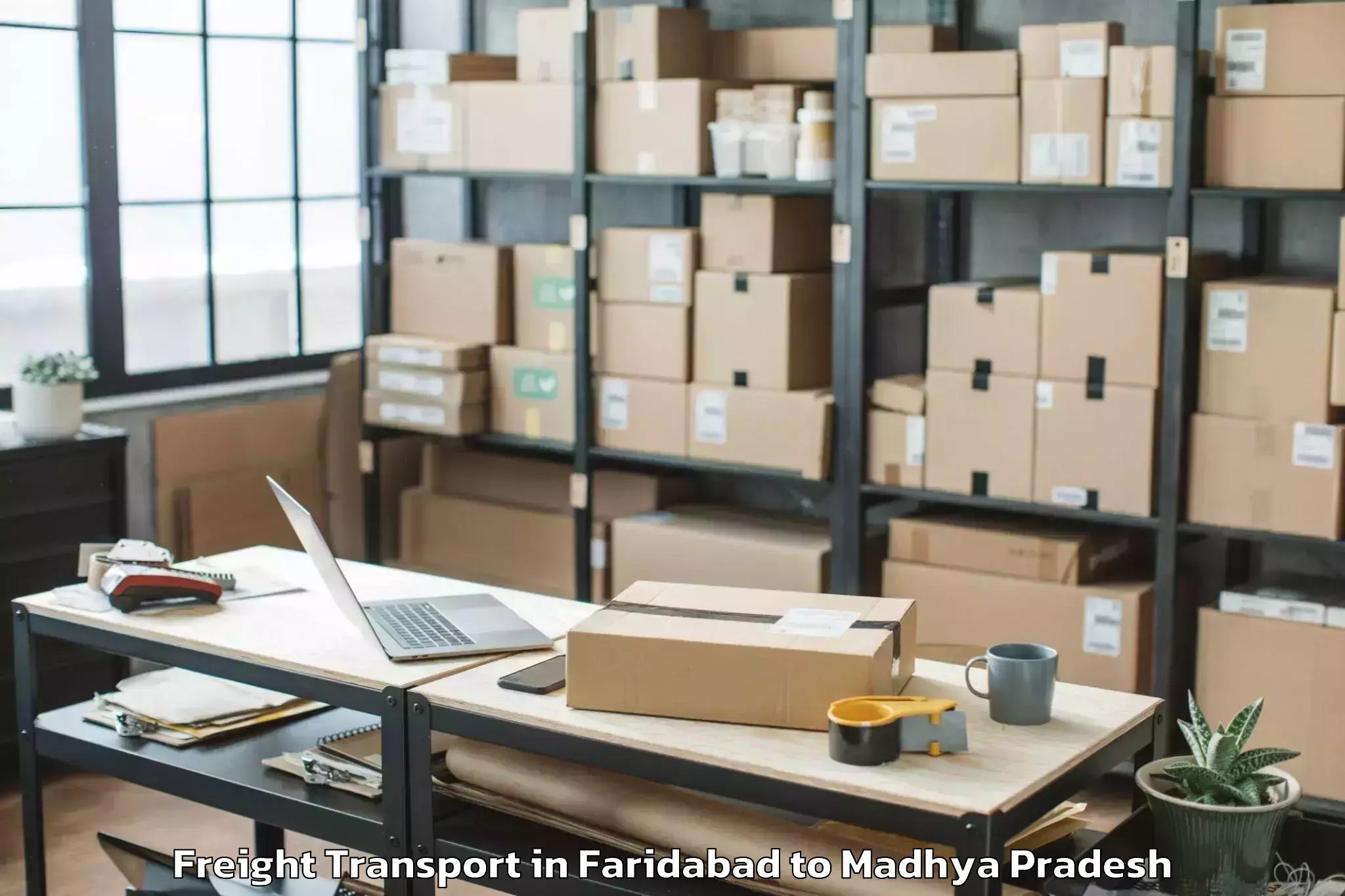 Book Faridabad to Patharia Freight Transport